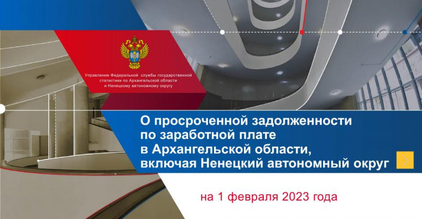 О просроченной задолженности по заработной плате на 1 февраля 2023 года